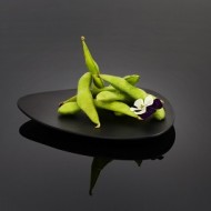 18_EDAMAME_022